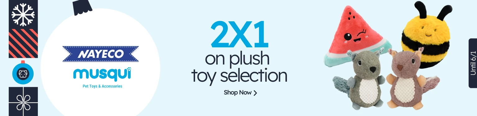 /c/diciembre-nayeco-musqui