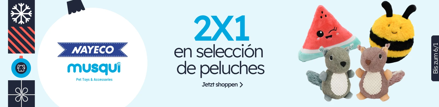 /c/diciembre-nayeco-musqui