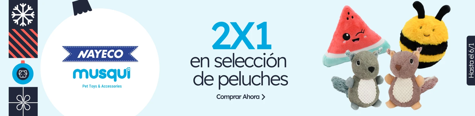 /c/diciembre-nayeco-musqui