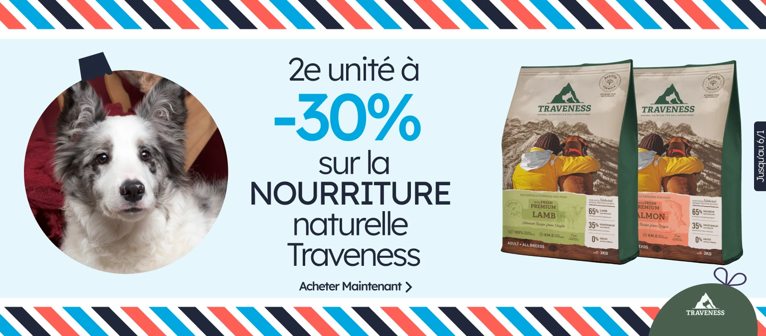 /c/diciembre-traveness-2-30