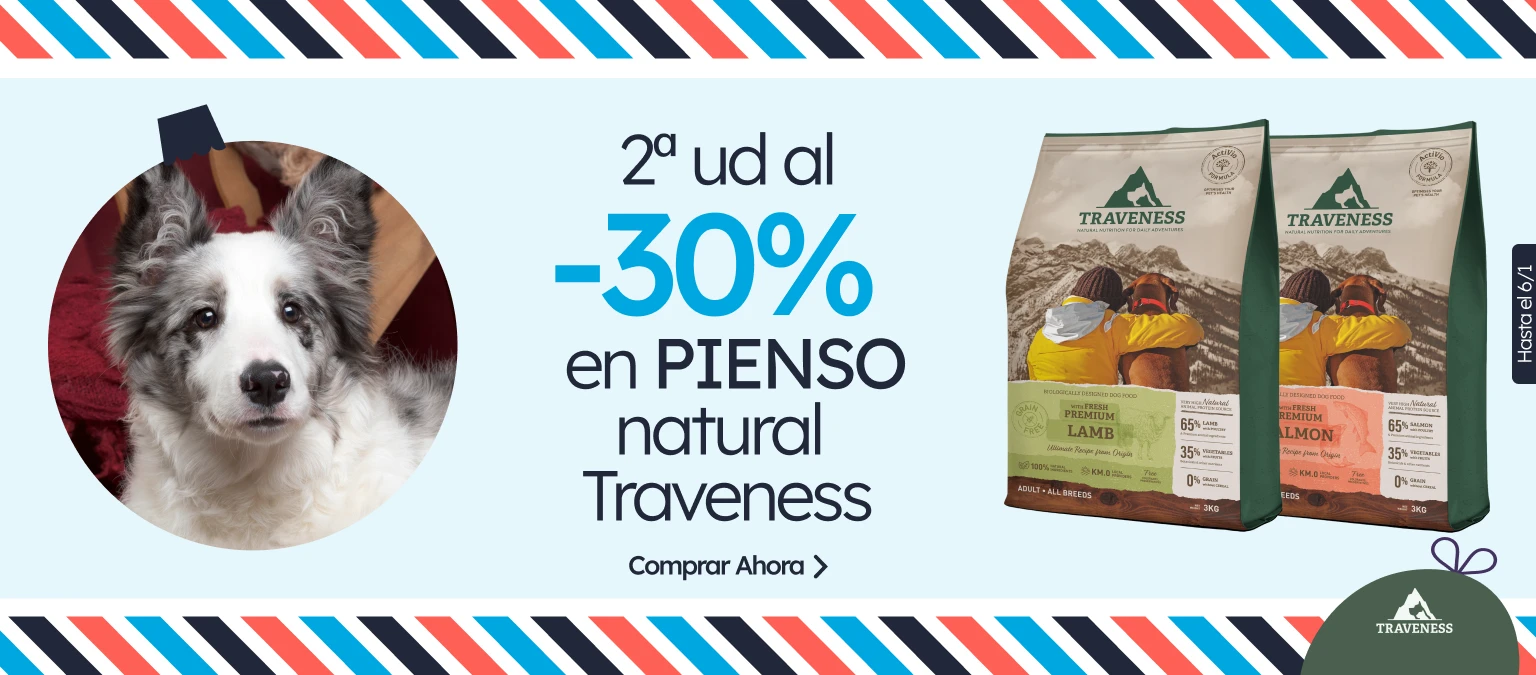 /c/diciembre-traveness-2-30