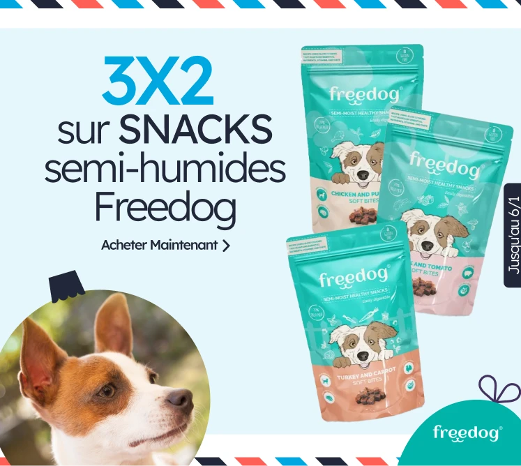 /c/diciembre-freedog-3-2