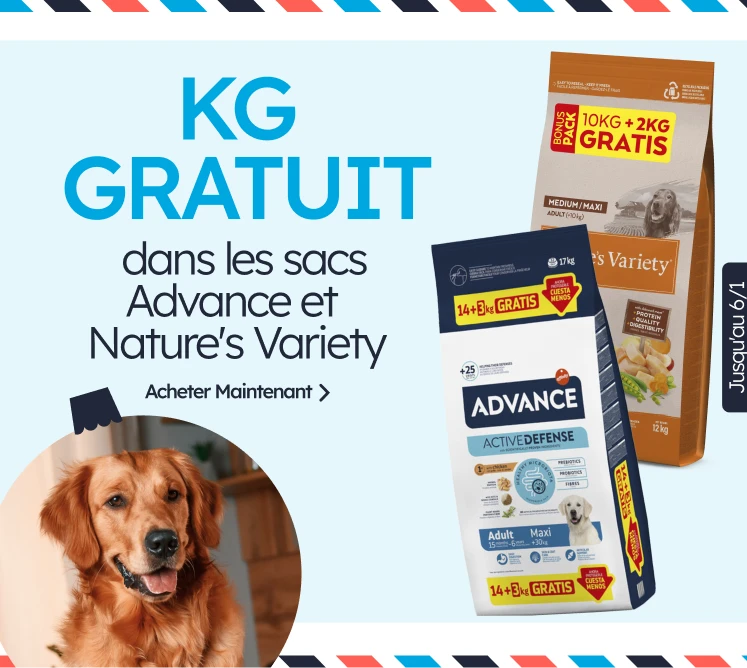 /c/diciembre-adv-nv-kgfree