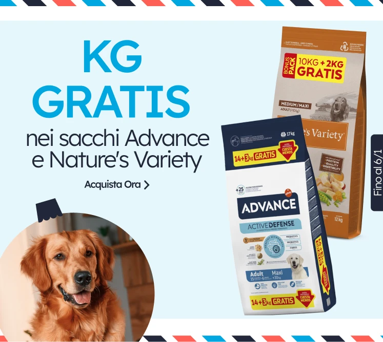 /c/diciembre-adv-nv-kgfree