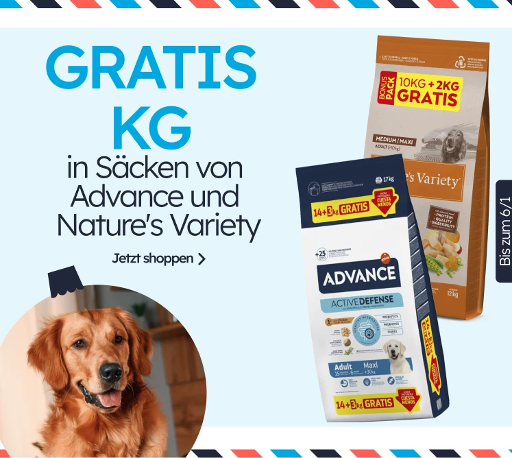 /c/diciembre-adv-nv-kgfree