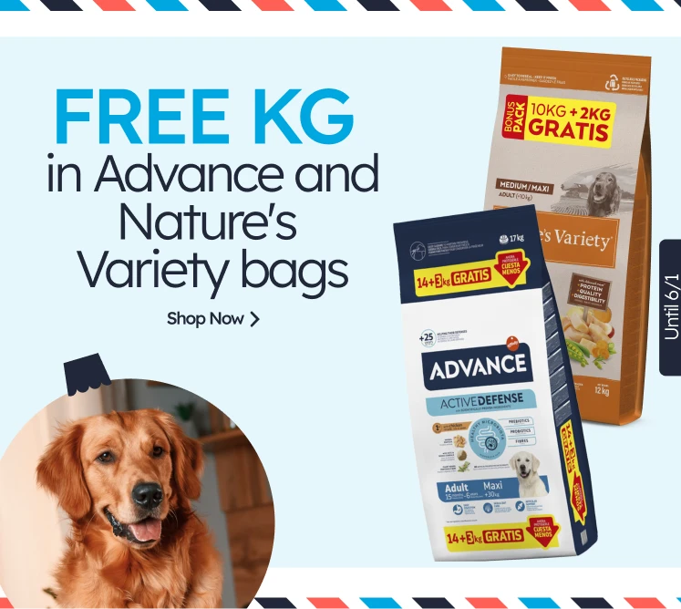 /c/diciembre-adv-nv-kgfree