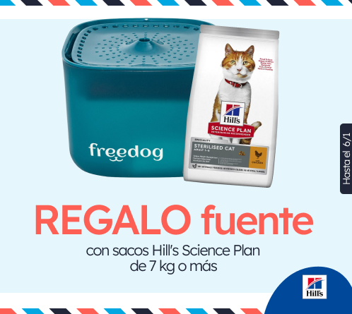 /c/diciembre-hills-gift-fuente