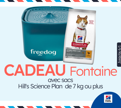 /c/diciembre-hills-gift-fuente