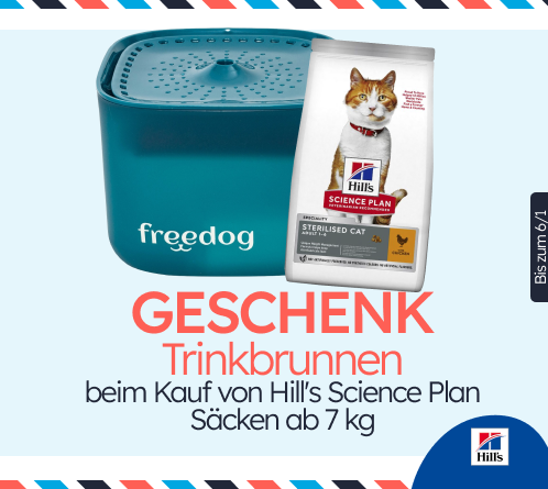 /c/diciembre-hills-gift-fuente