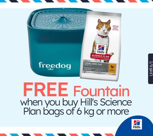 /c/diciembre-hills-gift-fuente