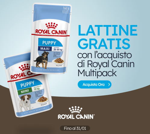 /c/enero-royal-canin-wet-gift
