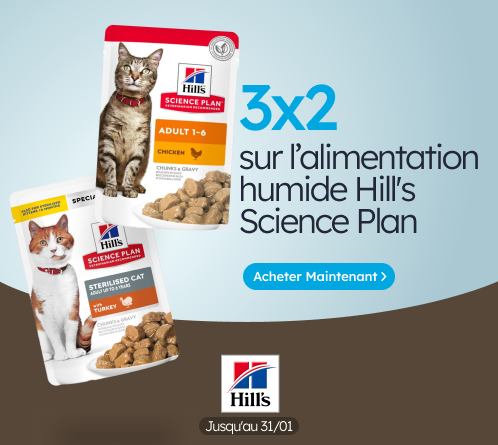 /c/enero-hill's-cat-3-2