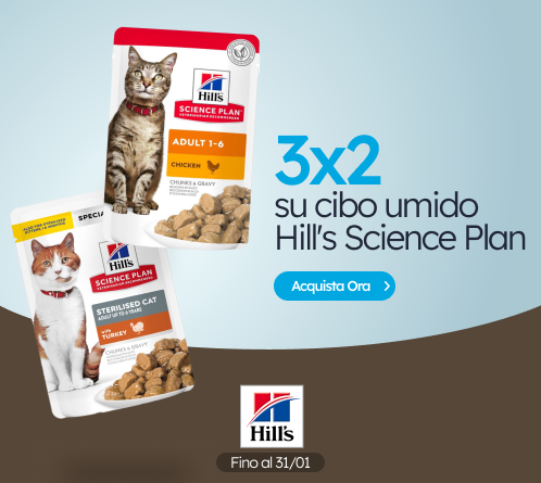 /c/enero-hill's-cat-3-2