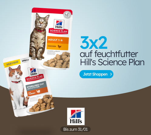 /c/enero-hill's-cat-3-2