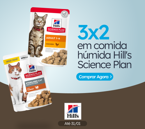 /c/enero-hill's-cat-3-2