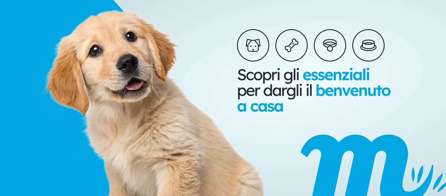 /c/enero-bienvenido-cachorro/1