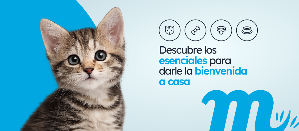 /c/enero-bienvenido-cachorro/116