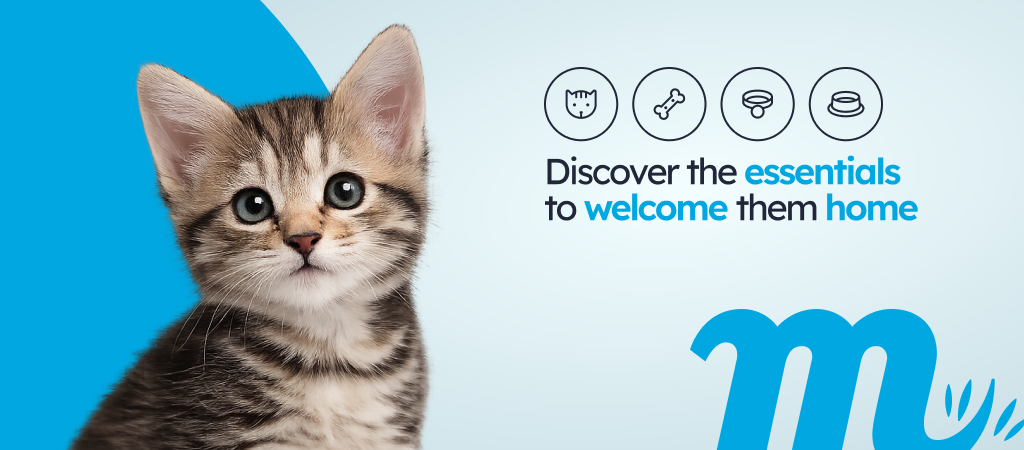 /c/enero-bienvenido-cachorro/116