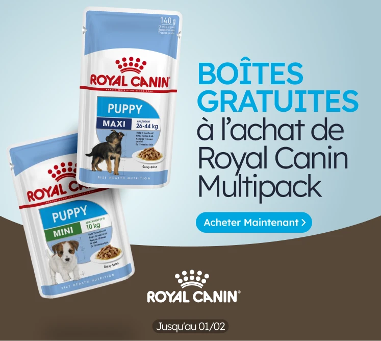 /c/enero-royal-canin-wet-gift