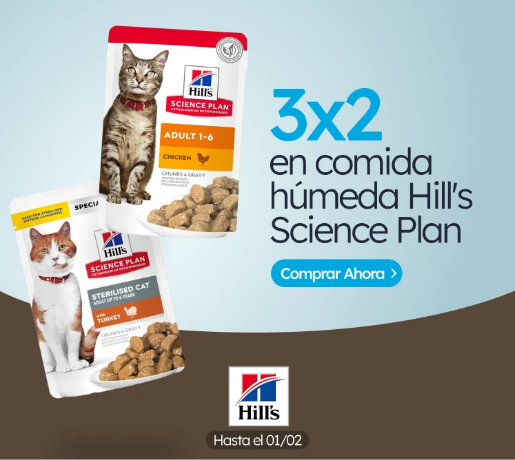 /c/enero-hill's-cat-3-2