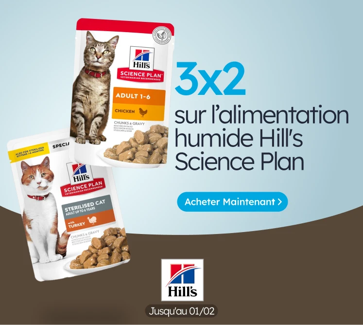 /c/enero-hill's-cat-3-2