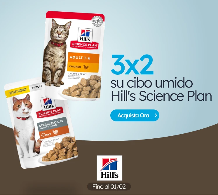 /c/enero-hill's-cat-3-2