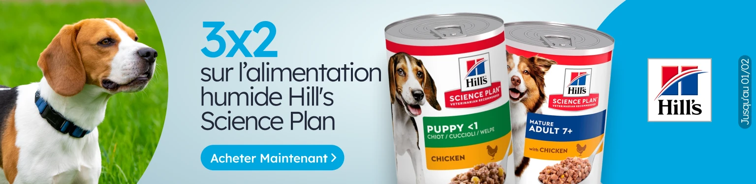 /c/enero-hill's-dog-3-2