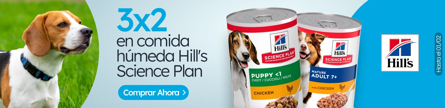 /c/enero-hill's-dog-3-2