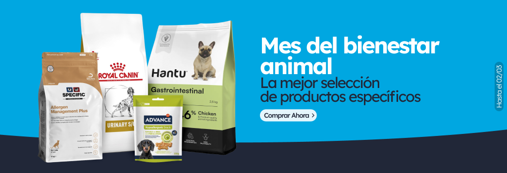 /c/febrero-mes-del-bienestar?utm_source=home&utm_medium=banner&utm_campaign=febrero-mes-del-bienesta