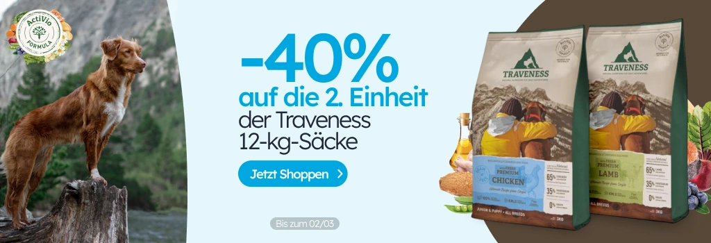 /c/febrero-traveness-2-40?utm_source=home&utm_medium=banner&utm_campaign=febrero-traveness-2-40&utm_