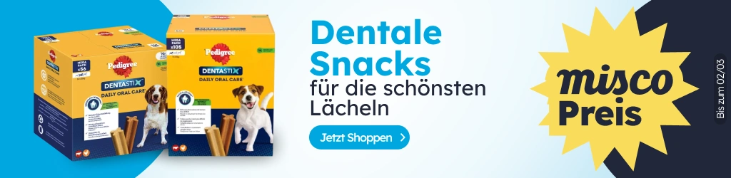 /c/febrero-dentastix?utm_source=home&utm_medium=banner&utm_campaign=febrero-dentastix&utm_content=lo