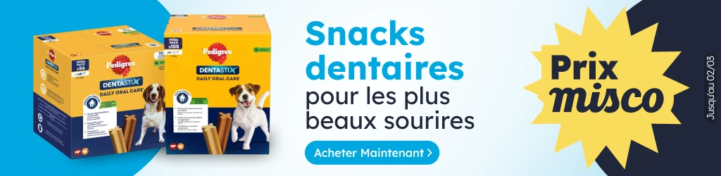 /c/febrero-dentastix?utm_source=home&utm_medium=banner&utm_campaign=febrero-dentastix&utm_content=lo