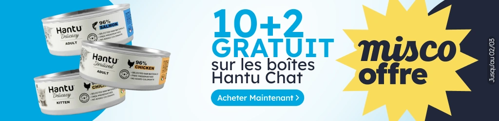 /c/febrero-hantu-cat-10-2?utm_source=home&utm_medium=banner&utm_campaign=febrero-hantu-cat-10-2&utm_