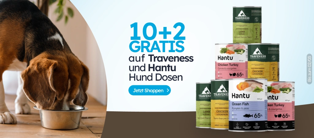 /c/febrero-hantu-traveness-dog-10-2?utm_source=home&utm_medium=banner&utm_campaign=febrero-hantu-tra