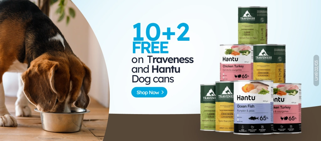 /c/febrero-hantu-traveness-dog-10-2?utm_source=home&utm_medium=banner&utm_campaign=febrero-hantu-tra