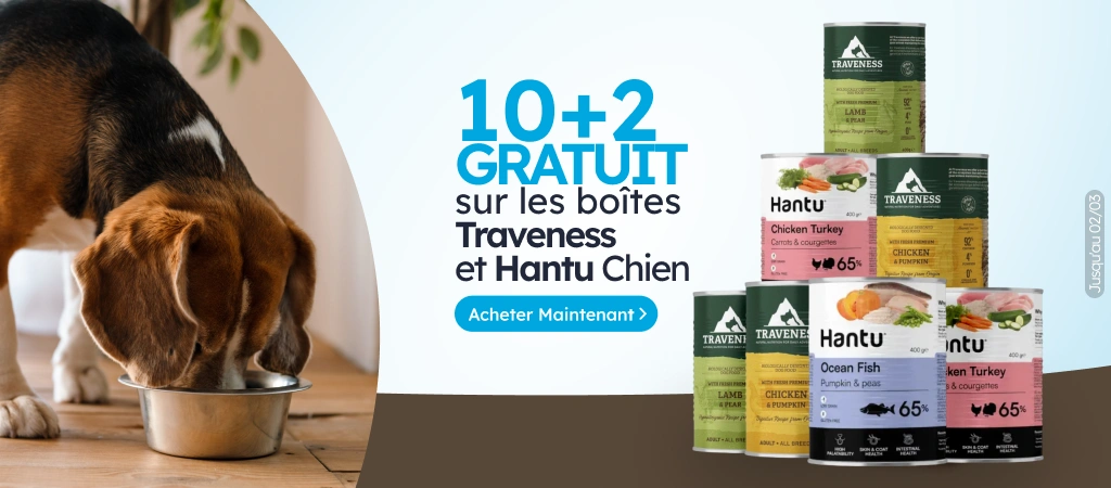 /c/febrero-hantu-traveness-dog-10-2?utm_source=home&utm_medium=banner&utm_campaign=febrero-hantu-tra