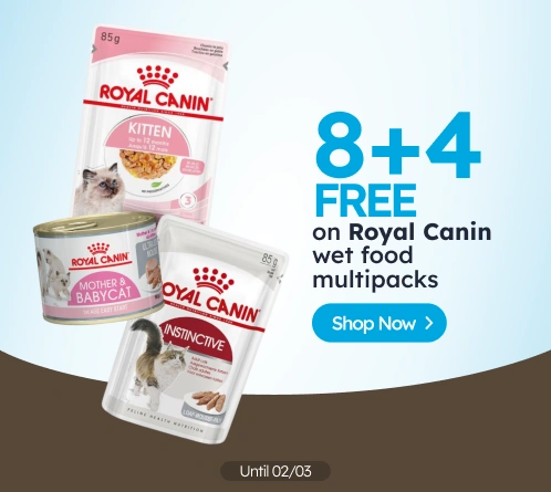 /c/febrero-royal-canin-8-4?utm_source=home&utm_medium=banner&utm_campaign=febrero-royal-canin-8-4&ut