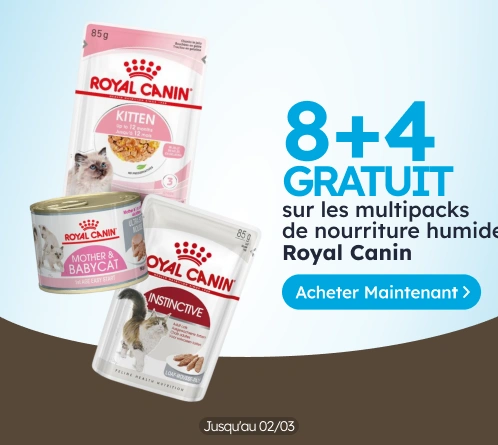 /c/febrero-royal-canin-8-4?utm_source=home&utm_medium=banner&utm_campaign=febrero-royal-canin-8-4&ut