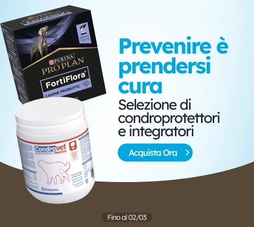 /c/febrero-prevenir-es-cuidar?utm_source=home&utm_medium=banner&utm_campaign=febrero-prevenir-es-cui