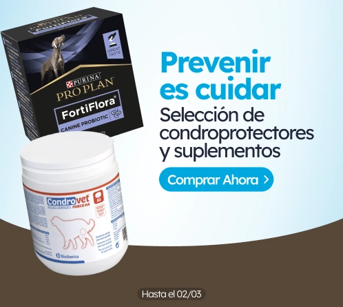 /c/febrero-prevenir-es-cuidar?utm_source=home&utm_medium=banner&utm_campaign=febrero-prevenir-es-cui