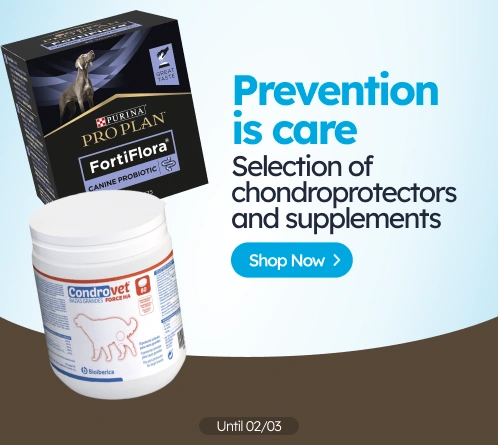 /c/febrero-prevenir-es-cuidar?utm_source=home&utm_medium=banner&utm_campaign=febrero-prevenir-es-cui