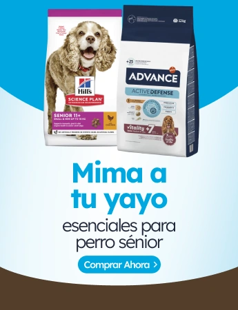 /c/febrero-senior-dog?utm_source=home&utm_medium=banner&utm_campaign=febrero-senior-dog&utm_content=