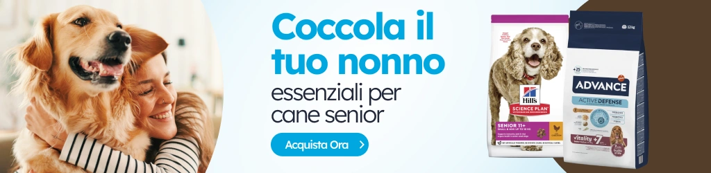 /c/febrero-senior-dog?utm_source=home&utm_medium=banner&utm_campaign=febrero-senior-dog&utm_content=