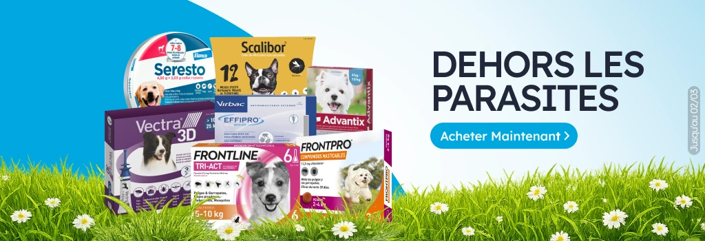 /perros/c_antiparasitarios