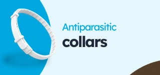 /perros/s_antiparasitarios-collares