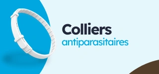 /perros/s_antiparasitarios-collares