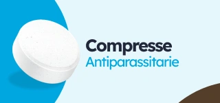 /perros/s_antiparasitarios-internos