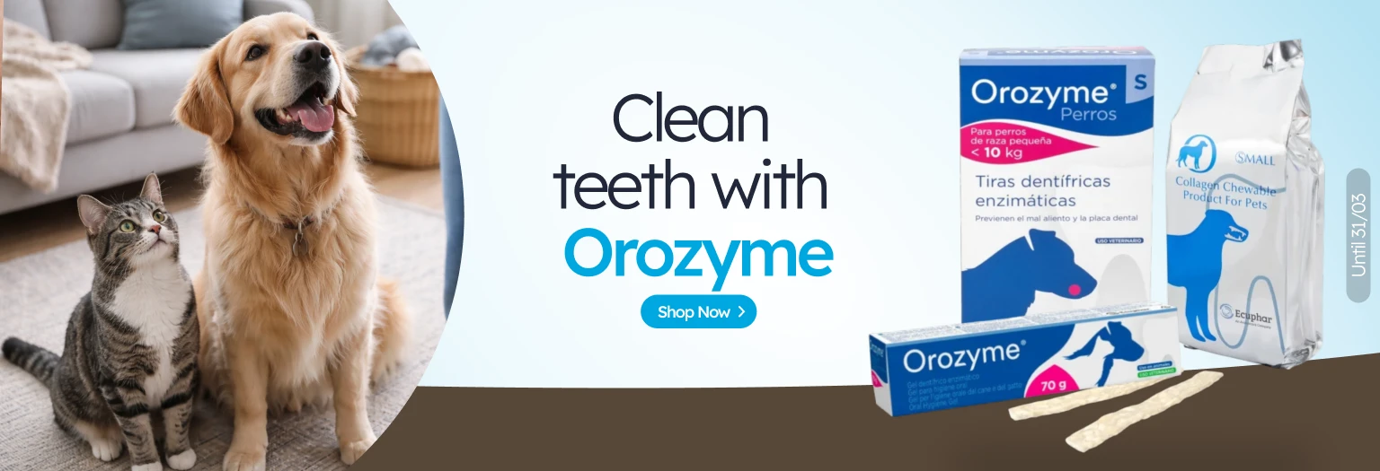 /c/ecuphar?utm_source=home&utm_medium=banner&utm_campaign=ecuphar&utm_content=hero-banner3