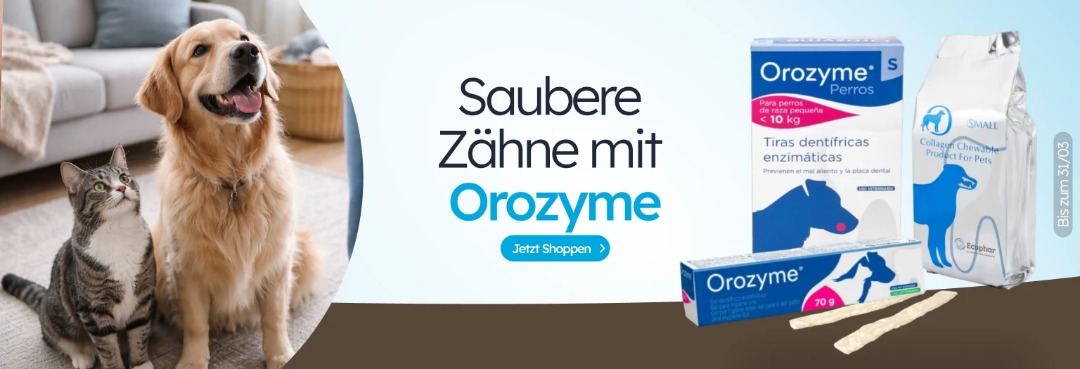 /c/ecuphar?utm_source=home&utm_medium=banner&utm_campaign=ecuphar&utm_content=hero-banner3