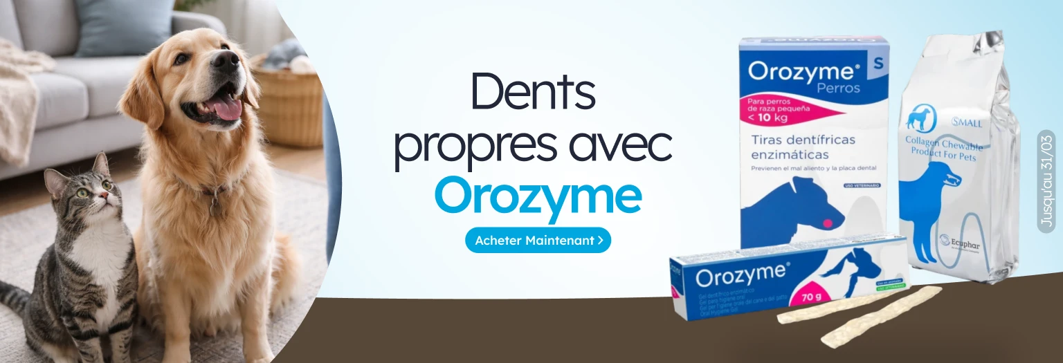 /c/ecuphar?utm_source=home&utm_medium=banner&utm_campaign=ecuphar&utm_content=hero-banner3